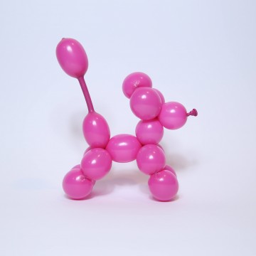 Palloncini professionali da modellare